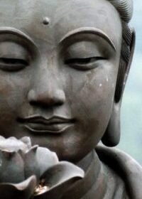 buddha-lotus-flower-symbol